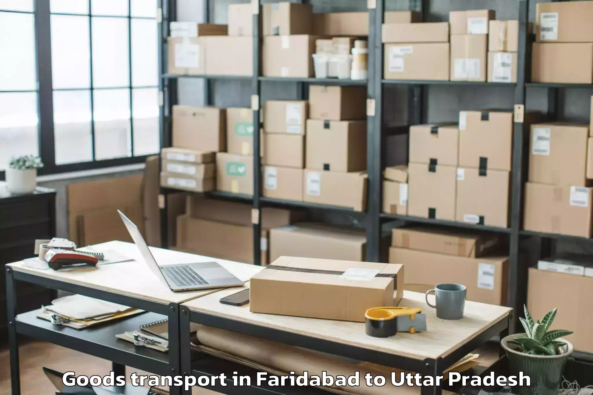 Faridabad to Aligarh Muslim University Goods Transport Booking